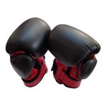 Sport si Outdoor - Sporturi de contact - Saci de box si accesorii - Manusi box junior Anastasia Sport 8 OZ - Infinity.ro