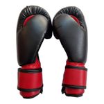 Sport si Outdoor - Sporturi de contact - Saci de box si accesorii - Manusi box junior Anastasia Sport 8 OZ - Infinity.ro