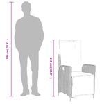 Casa si Gradina - Gradina si terasa - Mobilier exterior - Scaune si sezlonguri gradina - Scaun de gradina rabatabil cu suport picioare,2 buc., poliratan - Infinity.ro