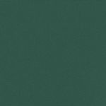 Casa si Gradina - Gradina si terasa - Umbrele si pavilioane - Umbrele - Copertina laterala retractabila, verde inchis, 170x300 cm - Infinity.ro