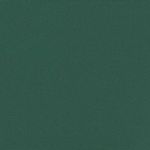 Casa si Gradina - Gradina si terasa - Umbrele si pavilioane - Umbrele - Copertina laterala retractabila, verde inchis, 120x1200 cm - Infinity.ro