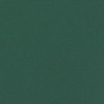 Casa si Gradina - Gradina si terasa - Umbrele si pavilioane - Umbrele - Copertina laterala retractabila, verde inchis, 220x600 cm - Infinity.ro