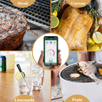 Casa si Gradina - Bucatarie si vesela - Ustensile bucatarie - Termometre bucatarie - Termometru Smart de bucatarie ESPRODYS pentru CUPTOR GRILL TIGAIE conexiune Bluetooth aplicatie mobila negru - Infinity.ro