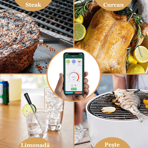 Termometru Smart de bucatarie ESPRODYS pentru CUPTOR GRILL TIGAIE conexiune Bluetooth aplicatie mobila negru