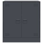 Casa si Gradina - Mobilier - Comode si corpuri - Comode - Servanta, antracit, 67x39x73 cm, otel - Infinity.ro