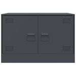 Casa si Gradina - Mobilier - Comode si corpuri - Comode - Comoda TV, antracit, 67x39x44 cm, otel - Infinity.ro