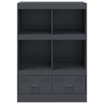 Casa si Gradina - Mobilier - Comode si corpuri - Corpuri bucatarie - Dulap inalt, antracit, 67x39x95 cm, otel - Infinity.ro