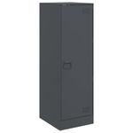 Casa si Gradina - Mobilier - Comode si corpuri - Comode - Servanta, antracit, 34,5x39x107 cm, otel - Infinity.ro