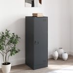 Casa si Gradina - Mobilier - Comode si corpuri - Comode - Servanta, antracit, 34,5x39x107 cm, otel - Infinity.ro