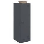 Casa si Gradina - Mobilier - Comode si corpuri - Comode - Servanta, antracit, 34,5x39x107 cm, otel - Infinity.ro