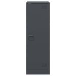 Casa si Gradina - Mobilier - Comode si corpuri - Comode - Servanta, antracit, 34,5x39x107 cm, otel - Infinity.ro