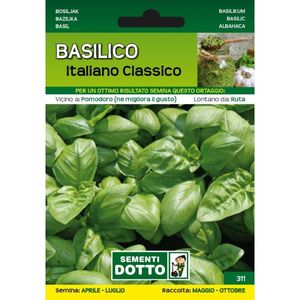 Seminte VOGLIAPICCANTE, Busuioc Italian Clasic, plic 3.5 grame