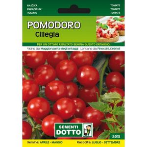 Seminte VOGLIAPICCANTE, Rosii Cherry, plic 0.4 grame