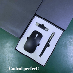 PC, gaming si accesorii - Periferice PC - Mouse - Set Format din Mouse,Stick USB-C memorie 8 GB si Pix Metalic, Negru, ABS si Metal - Infinity.ro