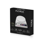 Electronice si Electrocasnice/Electrocasnice bucatarie/Mixere, tocatoare & roboti de bucatarie/Cantare de bucatarie - Cantar de bucatarie digital Floria ZLN9075, Capacitate 2g-10.000g, Display LCD, Maxim 10kg - Infinity.ro