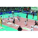 Sport si Outdoor - Sporturi de echipa - Accesorii si echipamente volei - Fileu volei Huck DVV1 pentru competitii, fir 3 mm, 6 puncte prindere - Infinity.ro