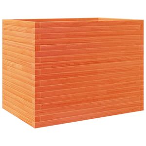 Casa si Gradina - Gradinarit si plante - Plante si ghivece - Infinity.ro