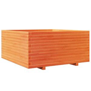 Casa si Gradina - Gradinarit si plante - Plante si ghivece - Infinity.ro