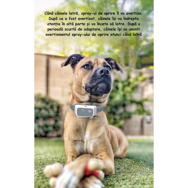 Petshop - Accesorii petshop - Zgarzi, lese si hamuri - Zgarzi - Guler Anti-latrat pentru Dresaj, Reincarcabil, Rezistent la Apa, Pentru animale de companie, Gri - Infinity.ro