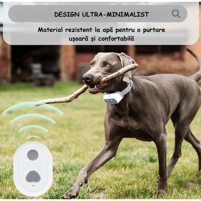 Petshop - Accesorii petshop - Zgarzi, lese si hamuri - Zgarzi - Guler Anti-latrat pentru Dresaj, Reincarcabil, Rezistent la Apa, Pentru animale de companie, Gri - Infinity.ro