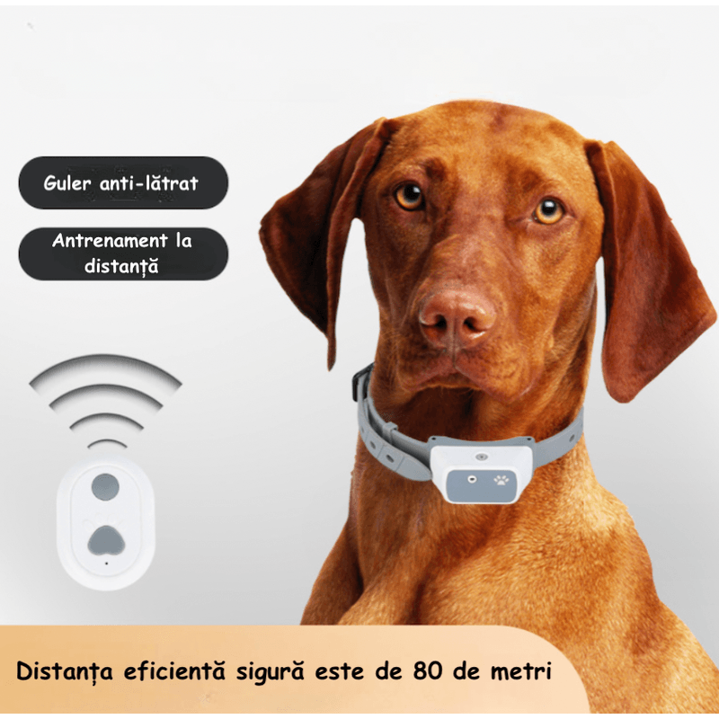 Petshop - Accesorii petshop - Zgarzi, lese si hamuri - Zgarzi - Guler Anti-latrat pentru Dresaj, Reincarcabil, Rezistent la Apa, Pentru animale de companie, Gri - Infinity.ro