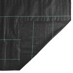 Casa si Gradina - Gradinarit si plante - Sere si solarii - Membrana antiburuieni, negru, 2x50 m, PP, mărime 2x50 m (100 g/m²) - Infinity.ro