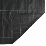 Casa si Gradina - Gradinarit si plante - Sere si solarii - Membrana antiburuieni, negru, 4x10 m, PP - Infinity.ro