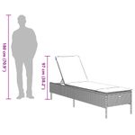 Casa si Gradina - Gradina si terasa - Mobilier exterior - Scaune si sezlonguri gradina - Sezlong cu perna, bej, poliratan - Infinity.ro