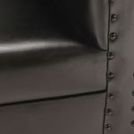 Casa si Gradina - Mobilier - Scaune si fotolii - Fotolii - Fotoliu, negru, piele naturala - Infinity.ro