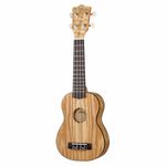 TV, Audio-Video si Foto - Instrumente muzicale - Instrumente clasice - Harley Benton UK12 Stain Ash Nt - Infinity.ro
