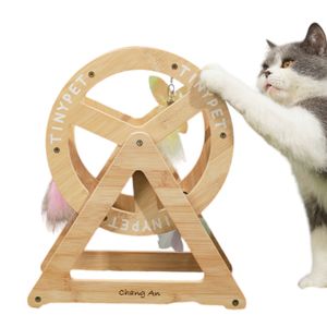 Petshop - Infinity.ro