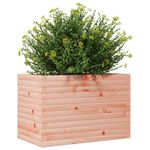 Casa si Gradina - Gradinarit si plante - Plante si ghivece - Ghivece si suporturi - Jardiniera de gradina, 70x40x45,5 cm, lemn masiv Douglas - Infinity.ro