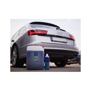 Spuma activa alcalina, EWOCAR ALK Prewash Traffic Film Remover, 1l