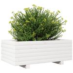 Casa si Gradina - Gradinarit si plante - Plante si ghivece - Ghivece si suporturi - Jardiniera de gradina, alb, 70x40x26,5 cm, lemn masiv de pin - Infinity.ro