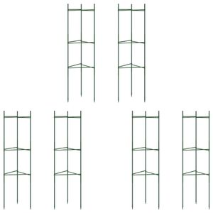 Casa si Gradina - Gradinarit si plante - Plante si ghivece - Infinity.ro