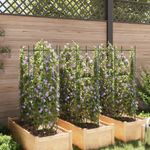 Casa si Gradina - Gradinarit si plante - Plante si ghivece - Ghivece si suporturi - Suport pentru rosii, 6 buc., 116 cm, otel si PP - Infinity.ro