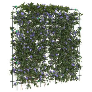 Casa si Gradina - Gradinarit si plante - Infinity.ro