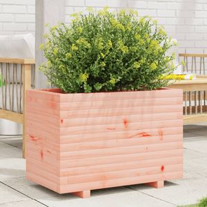 Casa si Gradina - Gradinarit si plante - Plante si ghivece - Infinity.ro