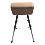 Sport si Outdoor - Accesorii si echipamente sportive - Gimnastica - Capra gimnastica Pesmenpol - Infinity.ro