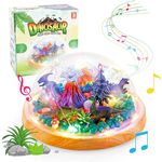 Casa si Gradina - Corpuri si surse de iluminat - Veioze si lampi - Lampi de veghe copii - Lampa de veghe copii, cu dinozauri, personalizata, cu lumini si muzica - Infinity.ro