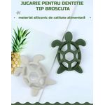 Jucarii, Copii si Bebe - Jucarii si jocuri - Jucarii bebelusi - Jucarii pentru dentitie - Jucarie dentitie ZEQAS pentru bebelusi, design placut si atragator in forma de broscuta testoasa, 3 luni+, culoare verde - Infinity.ro