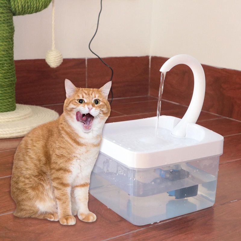 Petshop - Accesorii petshop - Castroane si adapatori - Dispenser automat apa pentru caini/pisici, plastic, foarte silentios, capacitate 2l, lumina LED, patrat, transparent - Infinity.ro
