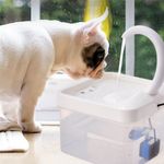 Petshop - Accesorii petshop - Castroane si adapatori - Dispenser automat apa pentru caini/pisici, plastic, foarte silentios, capacitate 2l, lumina LED, patrat, transparent - Infinity.ro