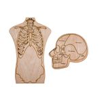 Jucarii, Copii si Bebe - Jucarii si jocuri - Jucarii & jocuri educative - Jocuri si jucarii educative - Puzzle din lemn Personalizabil, Corp si Craniu Uman Multistrat - Set Corp si Craniu Uman Multistrat - Infinity.ro
