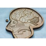 Jucarii, Copii si Bebe - Jucarii si jocuri - Jucarii & jocuri educative - Jocuri si jucarii educative - Puzzle din lemn Personalizabil, Corp si Craniu Uman Multistrat - Craniu Uman Multistrat - Infinity.ro