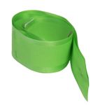 Market - Cadouri - Pungi cadou si accesorii - Funda Flower cu autoformare verde deschis - Infinity.ro