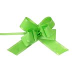 Market - Cadouri - Pungi cadou si accesorii - Funda Flower cu autoformare verde deschis - Infinity.ro