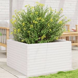 Casa si Gradina - Gradinarit si plante - Plante si ghivece - Infinity.ro