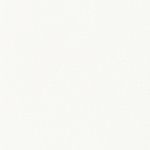 Casa si Gradina - Gradina si terasa - Umbrele si pavilioane - Umbrele - Umbrela soare de gradina stalp din otel, alb 290x290x238 cm - Infinity.ro