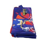 Carti si Birotica - Rechizite - Penare - Penar cu 3 compartimente model Sonic - Infinity.ro